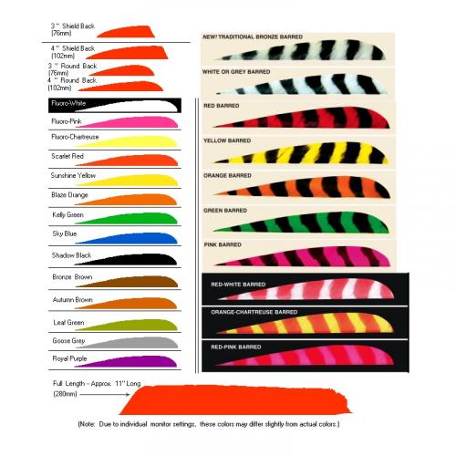 Trueflight Feathers 4" RW (Parabolic)