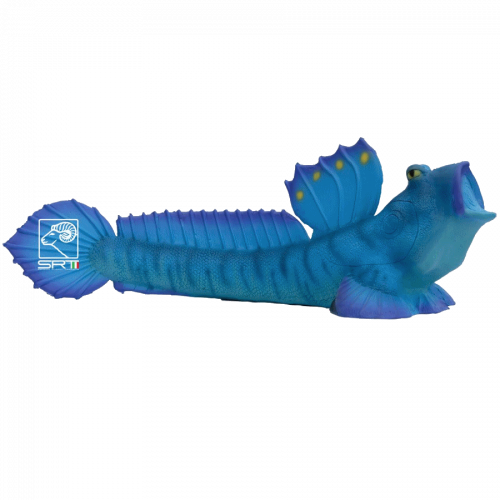 SRT Pandora Fish