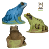 3D-Int Frog