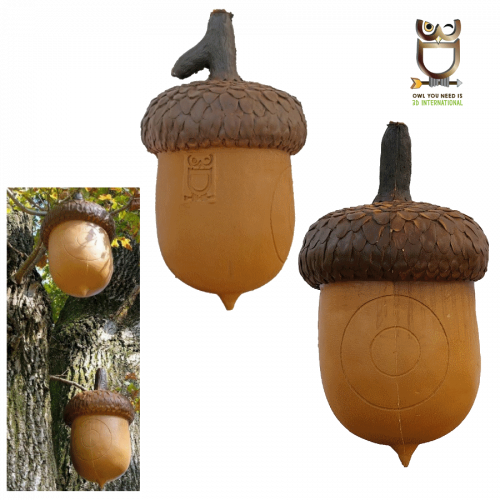 3D-Int Acorn
