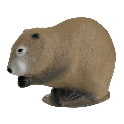 3D-Int Muskrat