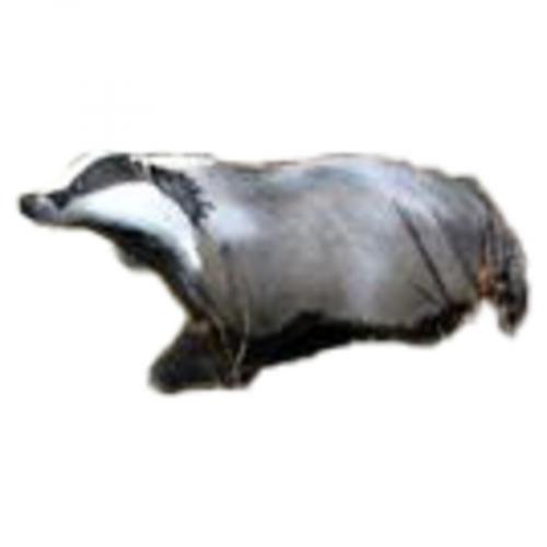 Natur Foam Dachs