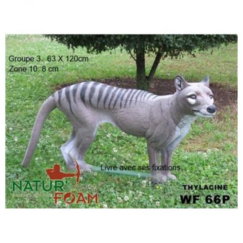Natur Foam Tasmanian Wolf