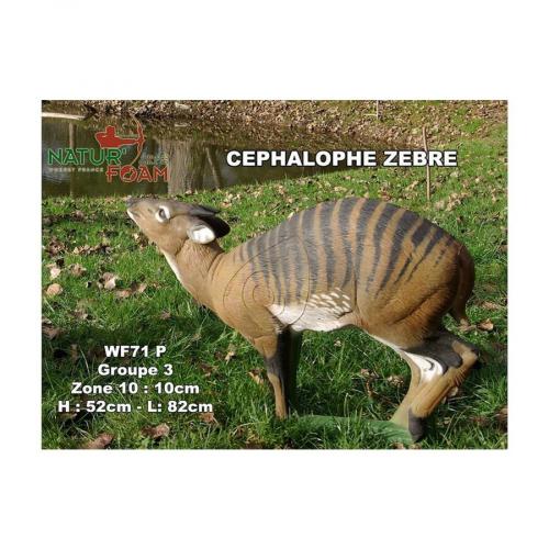 Natur Foam Zebraducker (Cephalophus)