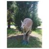 Natur Foam Kangaroo