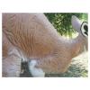 Natur Foam Kangaroo