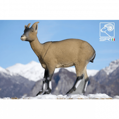 SRT Cabra Montes (Bergziege) weiblich