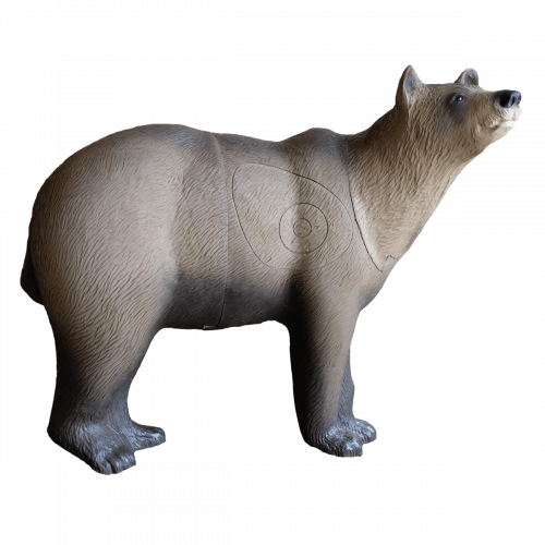 SRT Brown Bear Marsicano