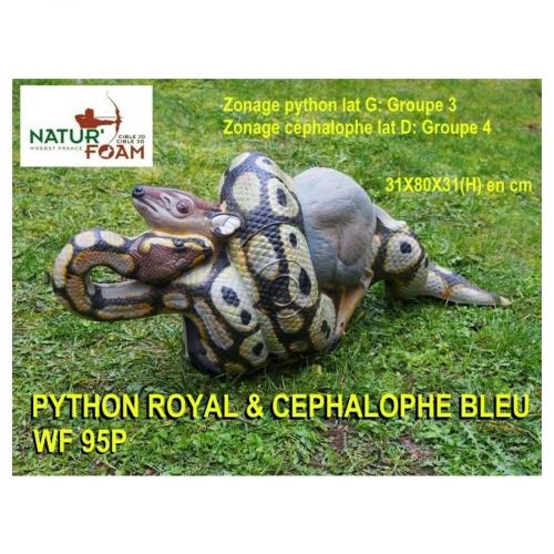 Natur Foam Königspython & Blauducker (Cephalophus)