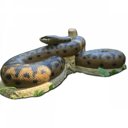 Baumgartner 3D Green European Adder