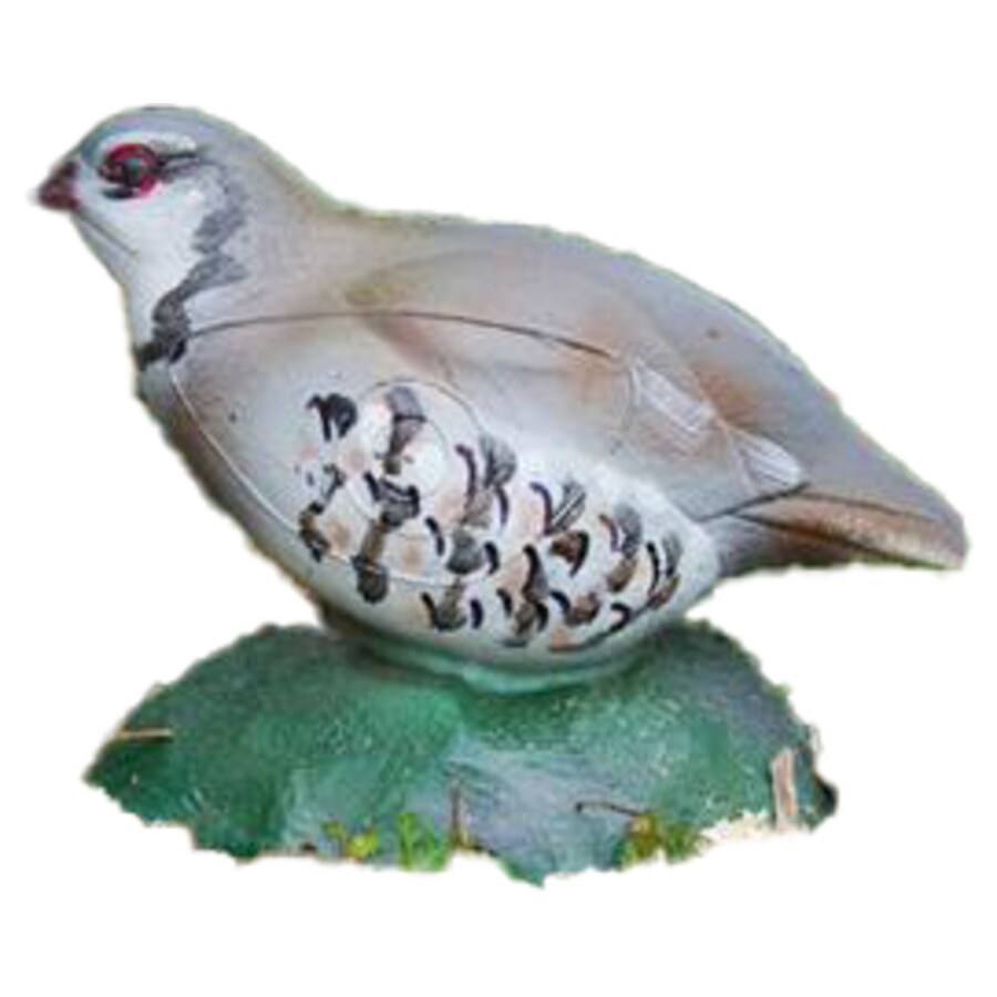 Natur Foam Steinhuhn (Bild für) Natur Foam Steinhuhn