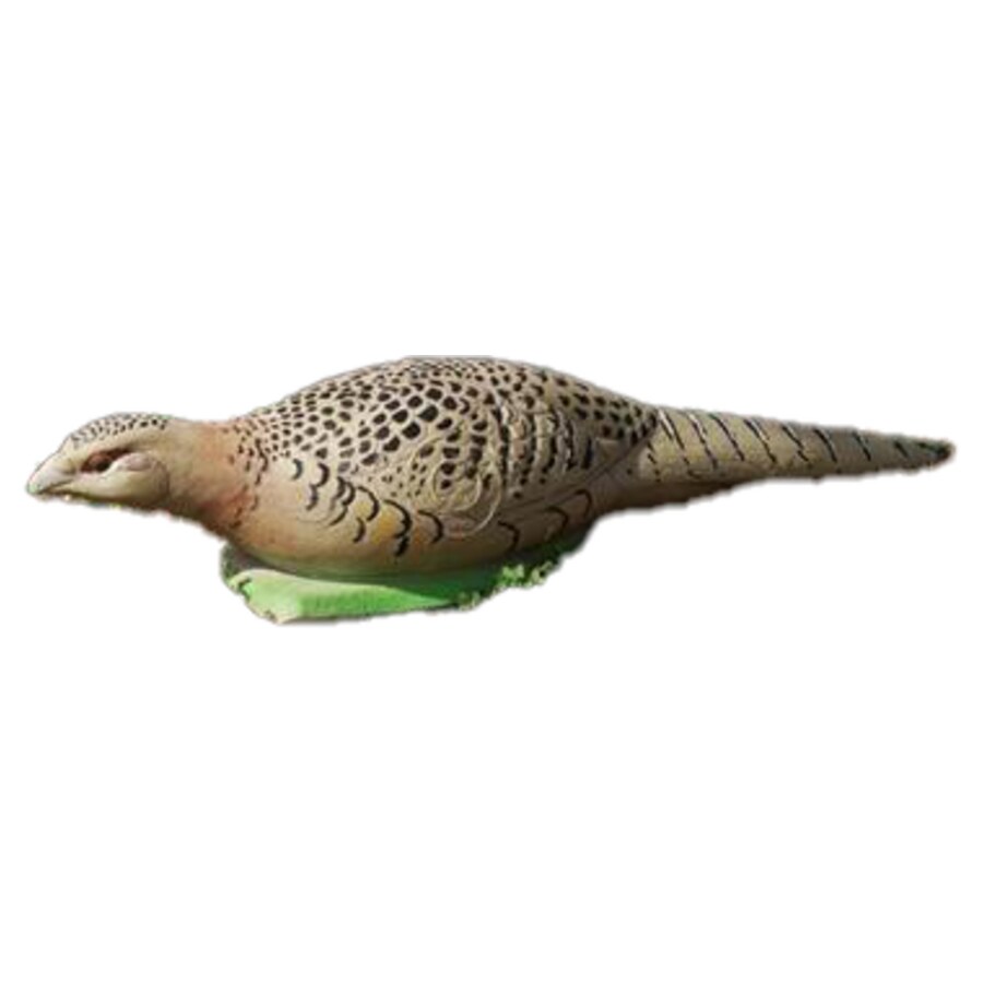 Natur Foam Pheasant Hen (image for) Natur Foam Pheasant Hen